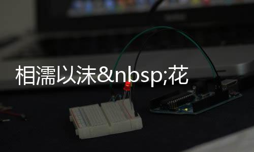 《绑定神豪系统后我成了豪门真千金》全文在线阅读
