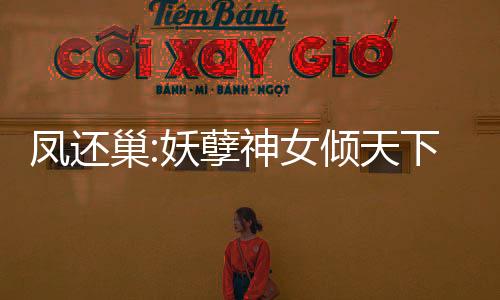 《宋檀记事》全文在线阅读