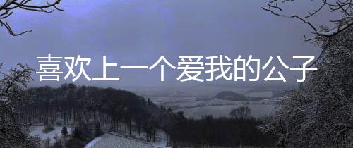 喜欢上一个爱我的公子