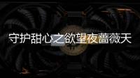 守护甜心之欲望夜