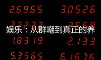 娱乐：从群嘲到真