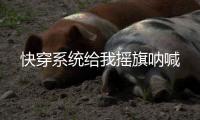 快穿系统给我摇旗