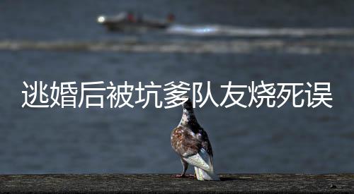 《快穿世界吃瓜第一线》全文在线阅读