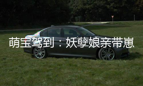 萌宝驾到：妖孽娘亲带崽跑
