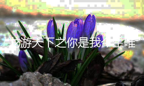 《预谋心动》全文在线阅读